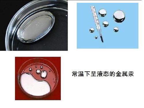 璀璨与永恒 金属材料中的金银制品探析